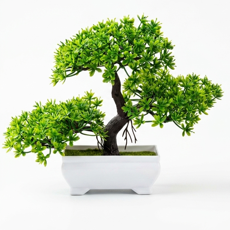 Bonsai tree in a pot on a white background